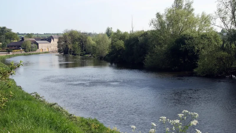 15) River Barrow(2)