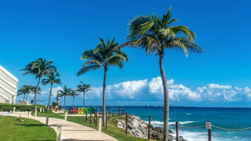 15) Scenic Coastal Walks(4)