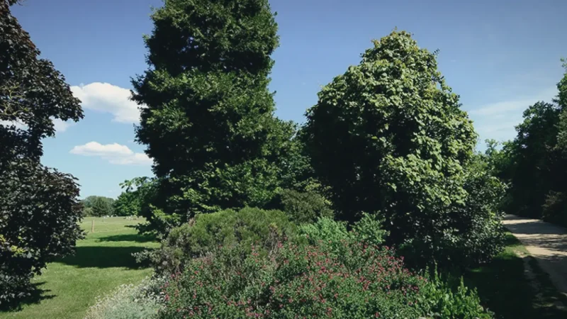 15) University Parks(5)