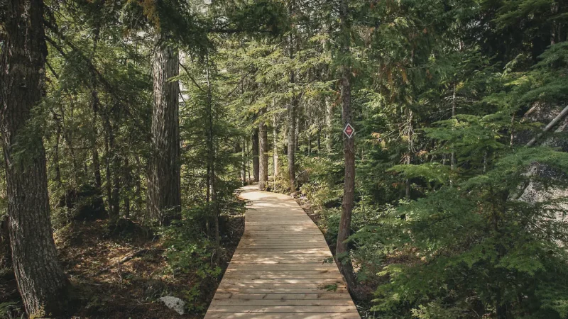 15) Wonderland Lake Park(4)