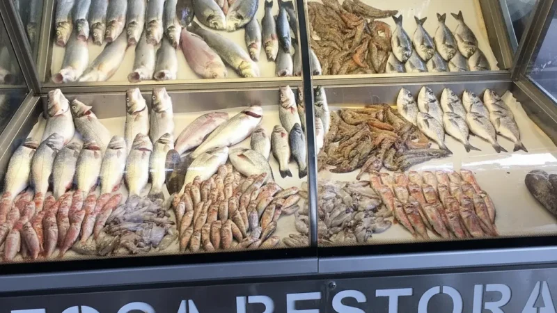 15. Aegean Seafood Taverns – Local dining spots_(3)