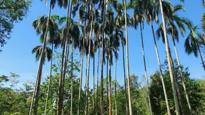 15. Ay■■■■■ Park – Seaside relaxation area_(5)