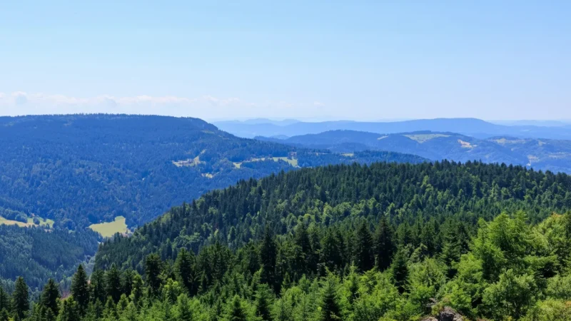 15. Black Forest Trails (around Baden-Baden)(6)