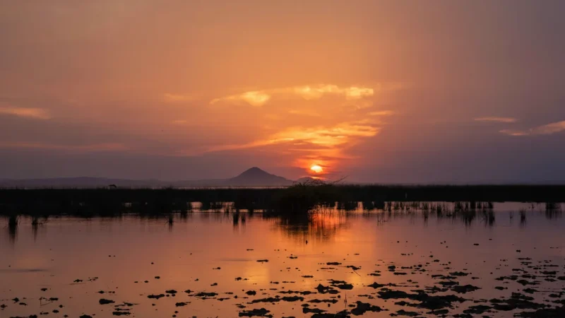 15. Chhari Dhand Wetland – A bird-watching site_(1)