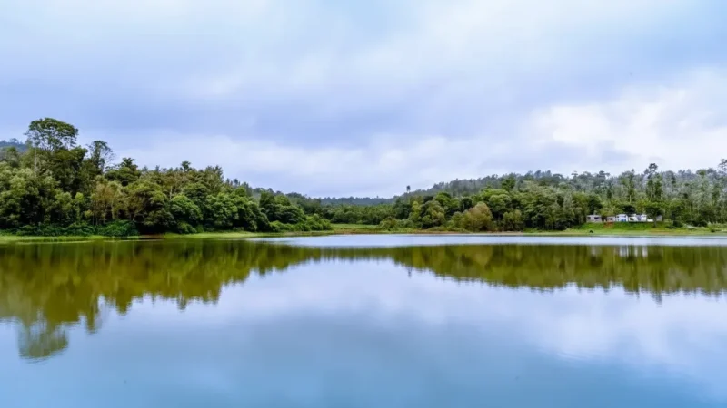 15. Honnamana Kere(1)