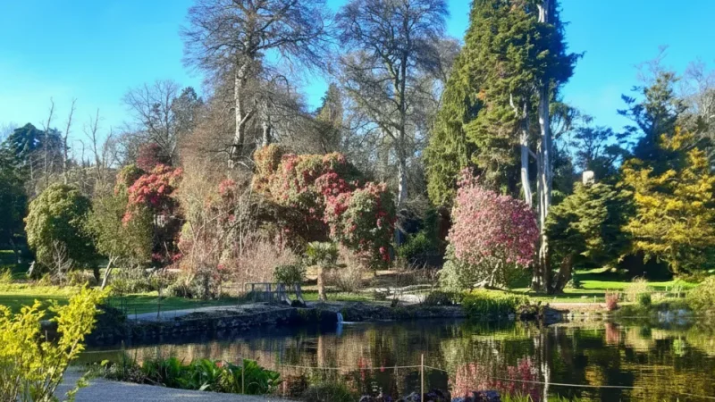 15. Kilmacurragh Gardens(5)