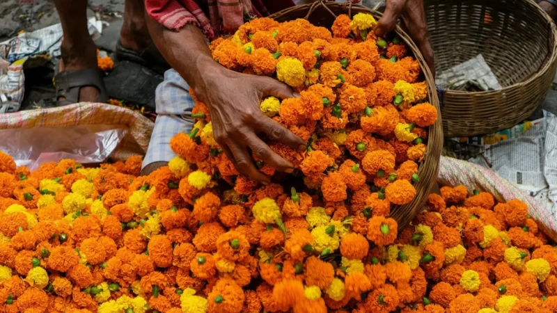 15. Madurai Flower Market – A colorful traditional market_(3)
