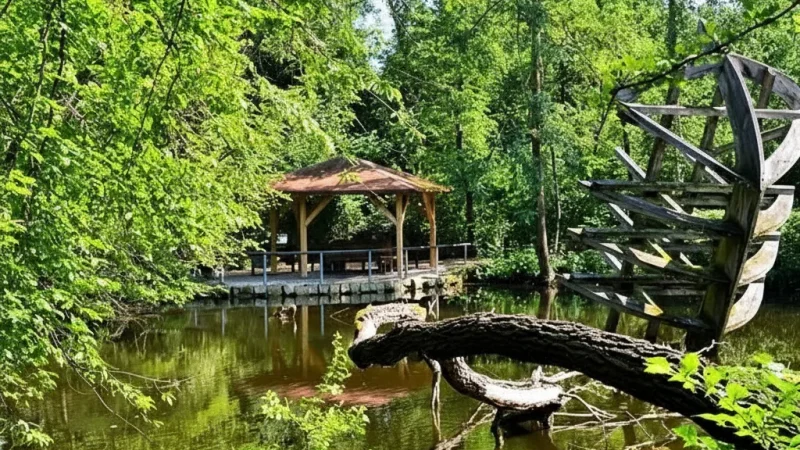 15. Nymphaea Zoo & Garden(3)
