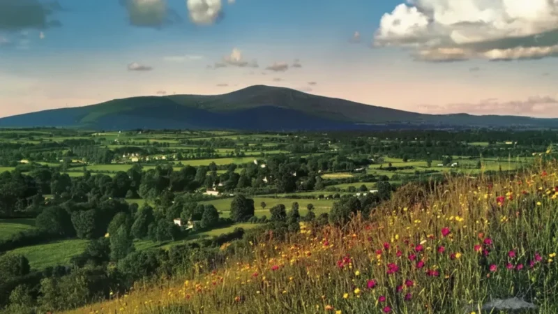 15. Slievenamon(4)