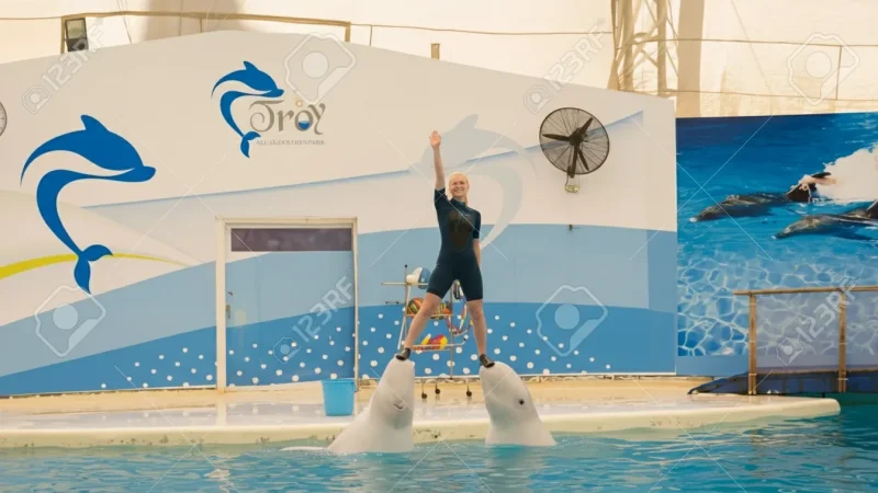 15. Troy Dolphinarium(1)