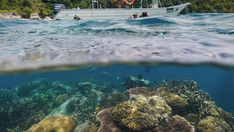 16) Batu Malang Snorkel Point(3)