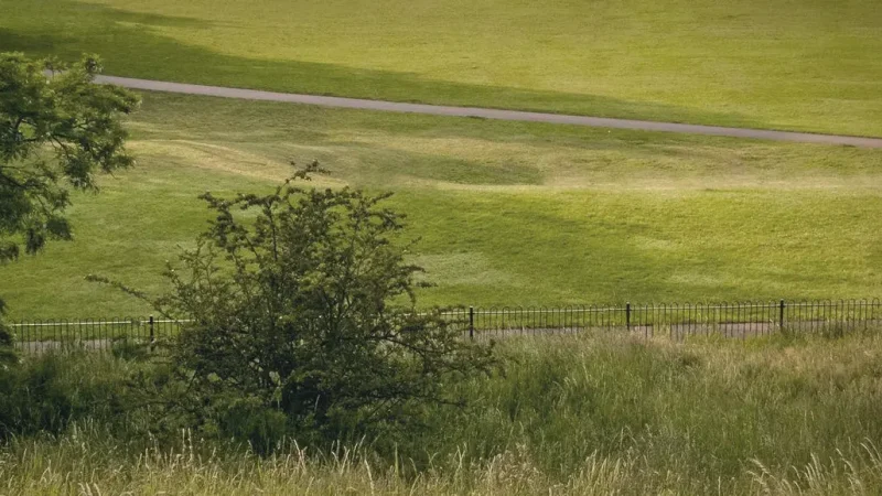16) Greenwich Park(5)