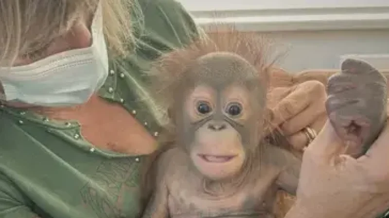 16) Monkey World(2)