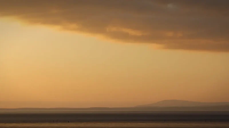 16) Morecambe Bay(2)
