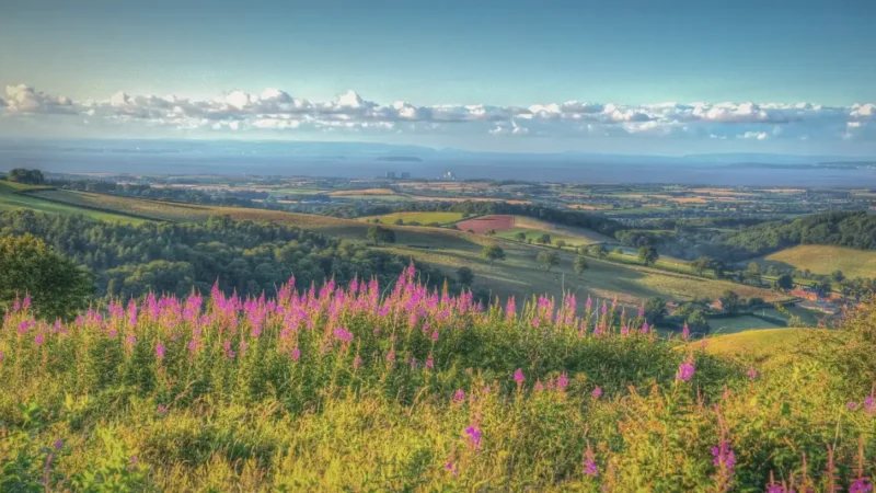16) Quantock Hills(4)