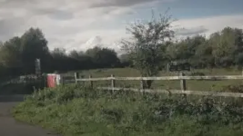 16) Rogiet Countryside Park(1)