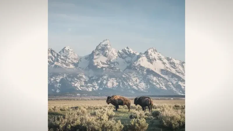 17) Antelope Flats(1)