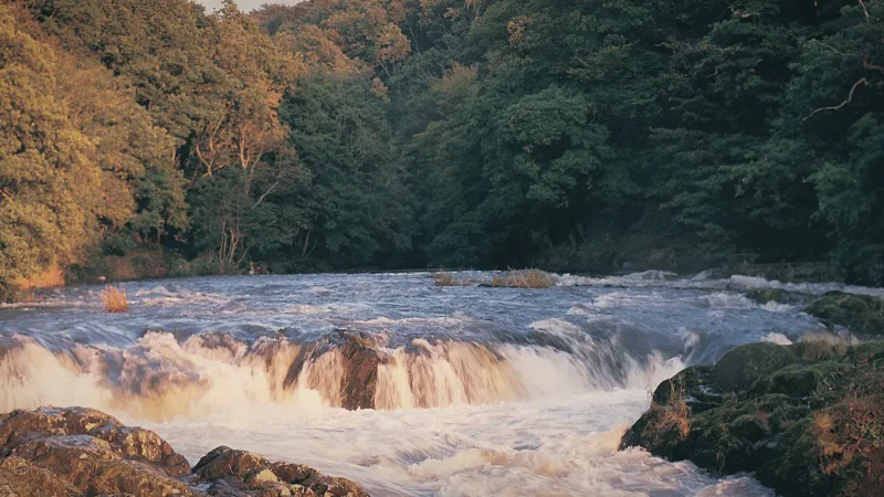 17) Cenarth Falls(1)