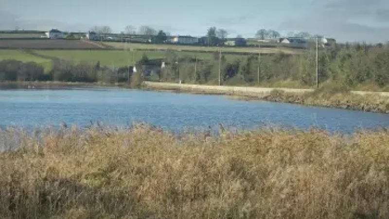 17) Inch Wildfowl Reserve(1)