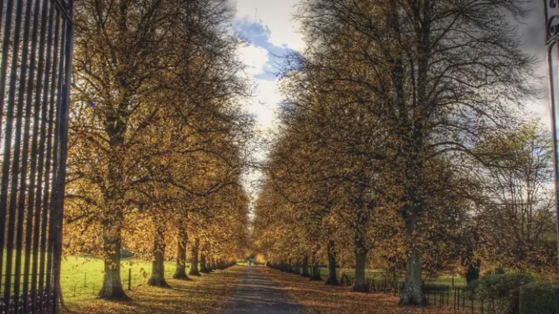 17) Itchen Valley Country Park(1)