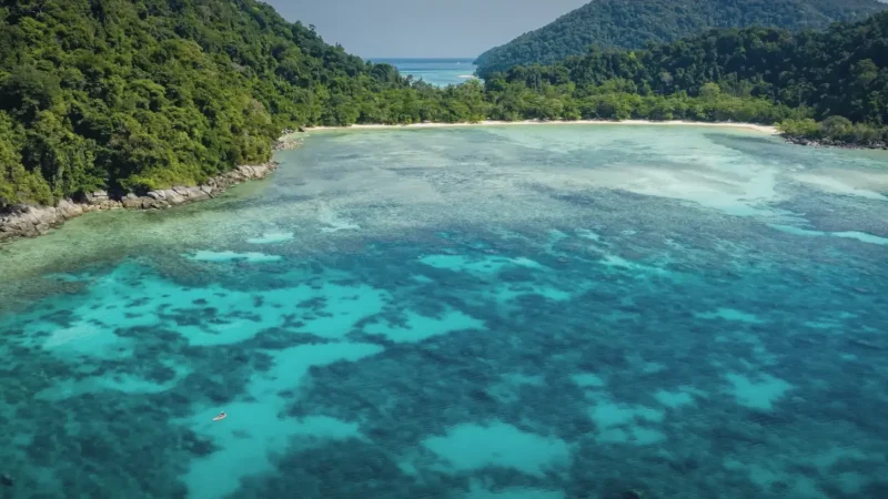 17) Lankayan Island(4)