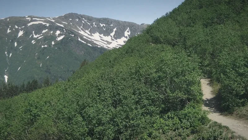 17) Mount Roberts Trail(2)