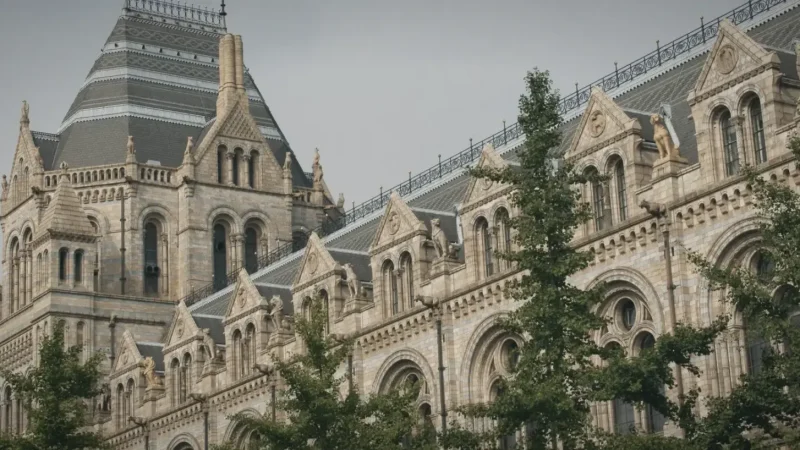 17) Natural History Museum(5)