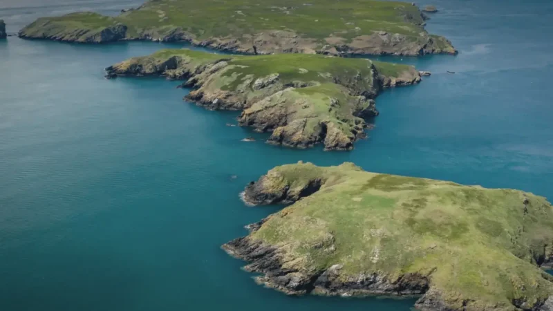 17) Skomer Island(1)