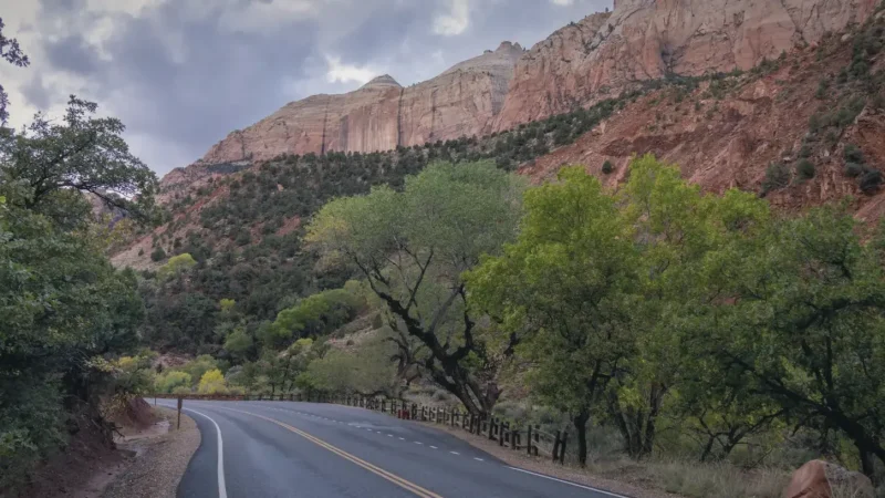 17_East_Zion(5)