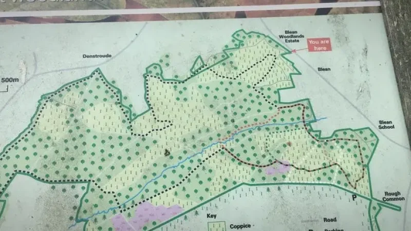 18) Blean Woods(5)