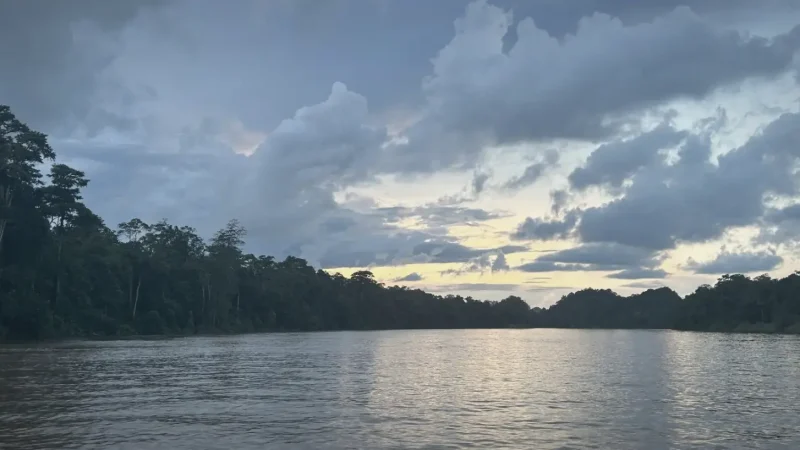 18) Kinabatangan River(5)