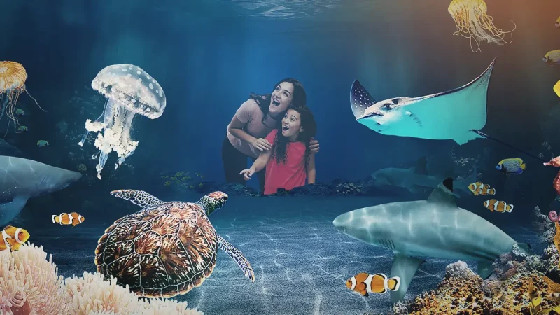 18) Sea Life Brighton(5)