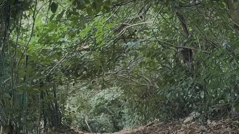 18) Taman Cahaya Seri Alam(4)