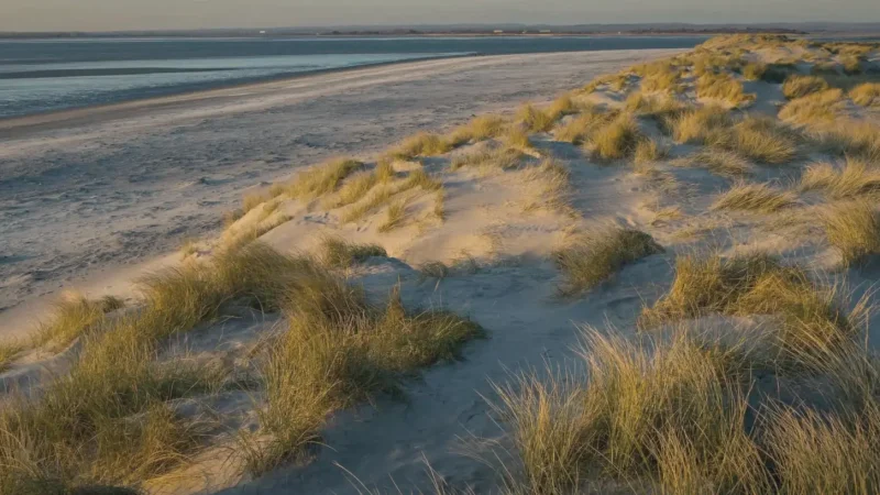 18) West Wittering Beach(5)