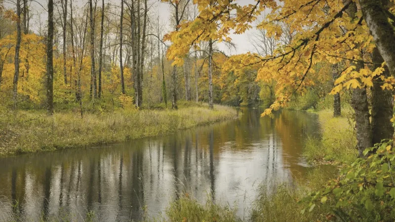 19) Campbell Creek Trail(5)