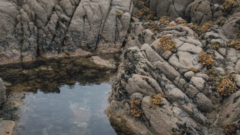 19) Coral View Spot(3)