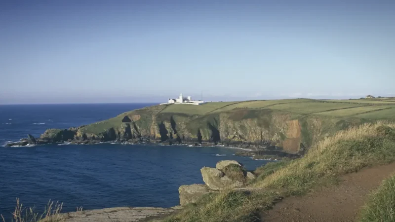 19) Lizard Point(4)