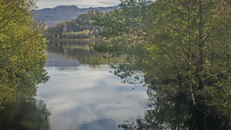 19) Llyn Dinas(1)