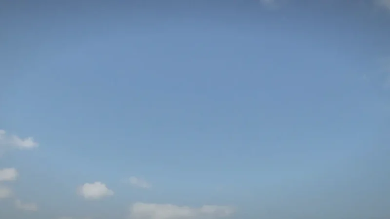 19) Loughor Estuary(1)