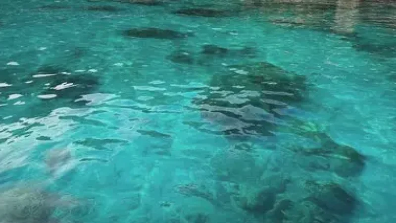 19) Perhentian Marine Park(4)