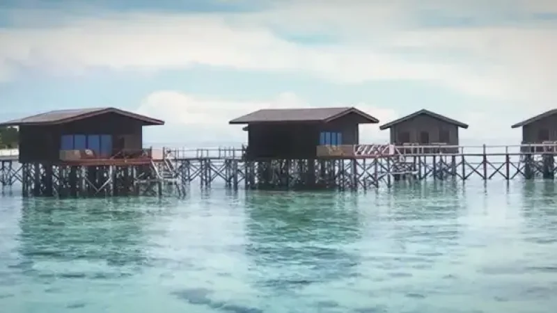 19) Pom Pom Island(5)