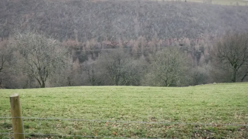 19) Sirhowy Valley Walks(1)