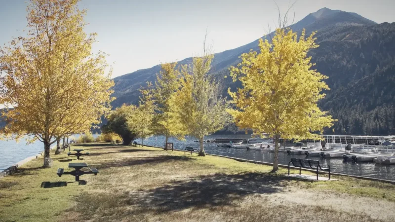 19) Twin Lakes Park(5)