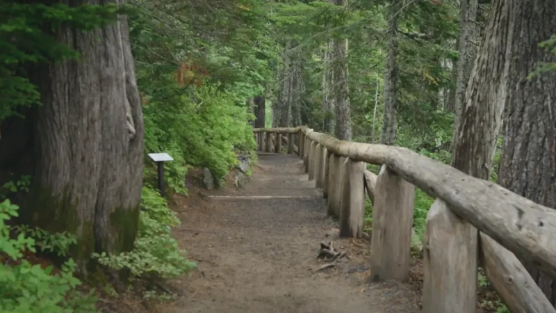 19_Observation_Point_Lower_View_Areas(1)