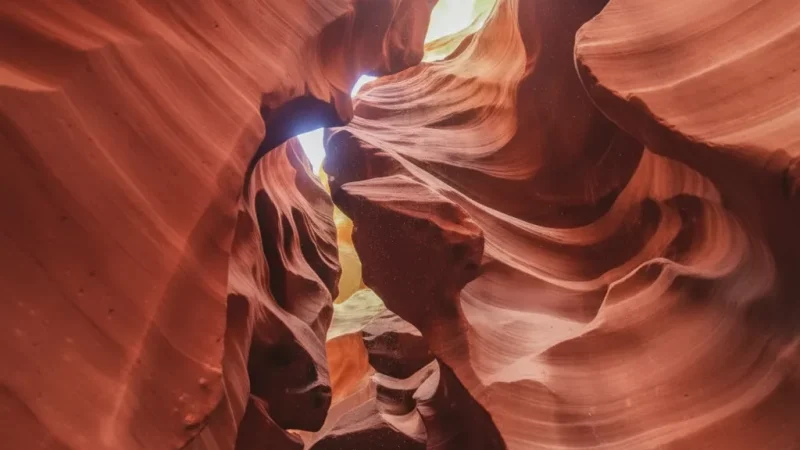 2 Guided Canyon Tours – Access to park interior(5)