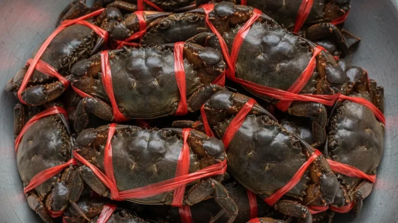 2 Kep Crab Market – Famous fresh seafood market(1)