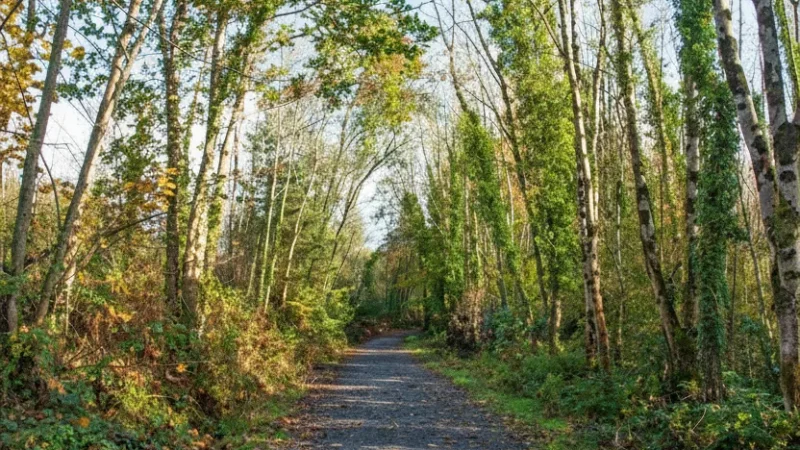 2) Killykeen Forest Park(2)