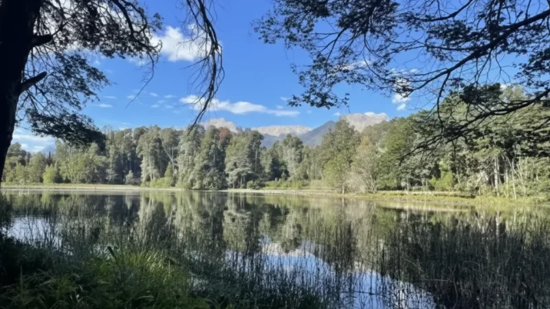 2 Lakeside Walking Path – Easy circular walk(6)