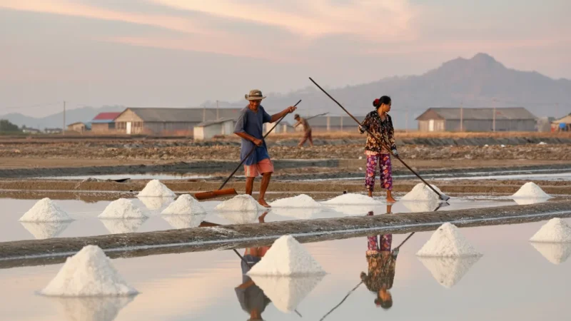 2 Salt Harvesting Areas – Local working sites(5)