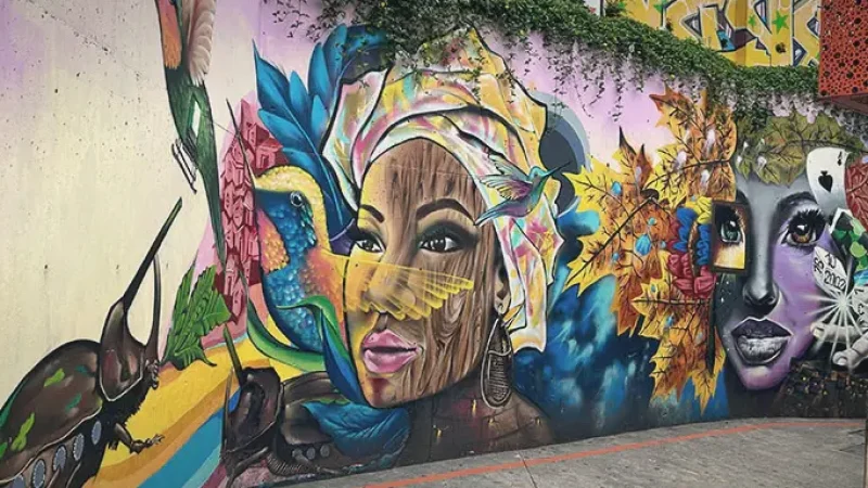 2 Street Art Murals – Colorful wall paintings(6)